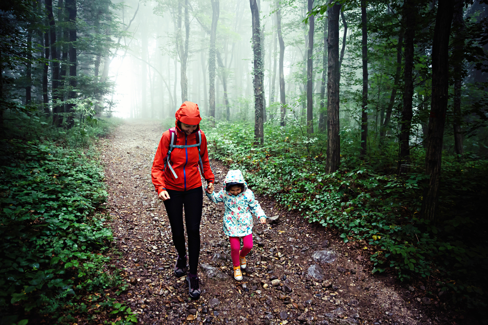 A child in nature, as a child in years: A Mother’s Guide to Hiking with Young Children picture