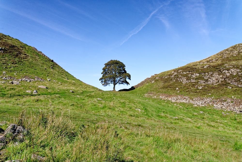Comfort on the Roman Frontier: The Best accommodation along Hadrian’s Wall Path picture